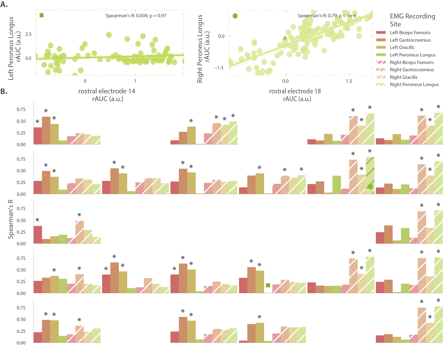 Correlation between evoked EMG and ECAP.