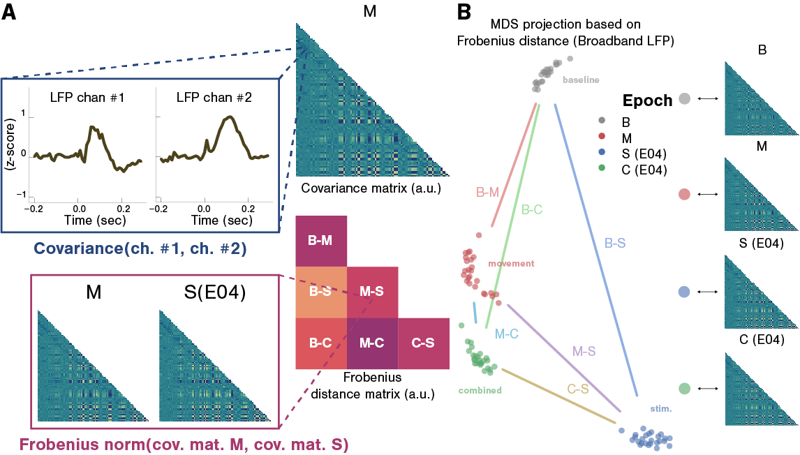 SCS changes the LFP covariance structure.